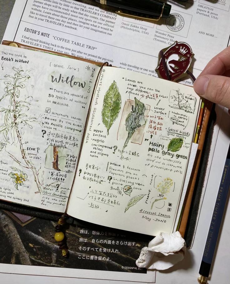 Journal tea plants roots bones nature green study studiyng drawing doodle leaves Home décor
DIY and crafts
Entertainment
Education Art Women’s fashion Food and drinks Beauty Event planning Gardening Plant Anatomy Art, Plant Study Art, Herbalist Drawing, Plant Biology Aesthetic, Plant Drawing Aesthetic, Biology Sketches, Nature Study Drawing, Green Journal Ideas, Wildflower Garden Bed