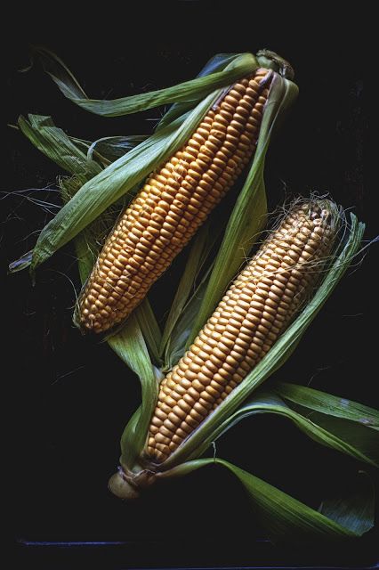 two corn cobs on top of each other