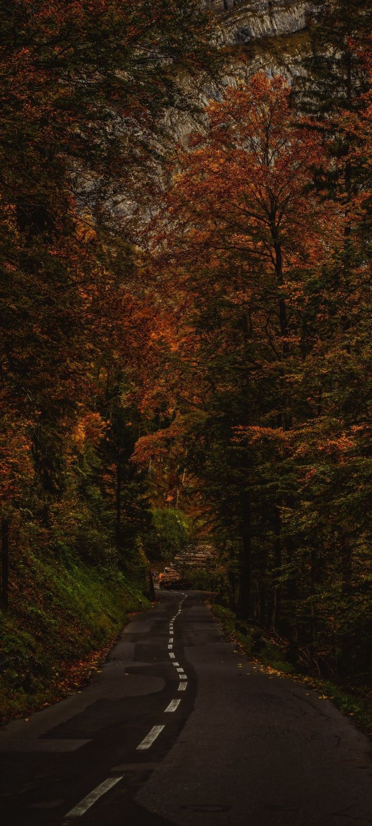 an empty road surrounded by trees in the fall