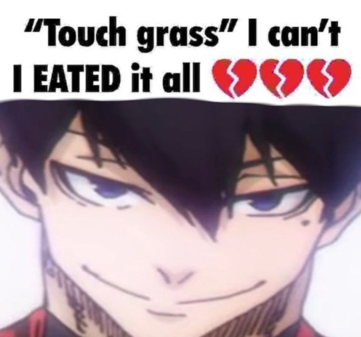 an anime character with the words touch grass can't i eaten it all?