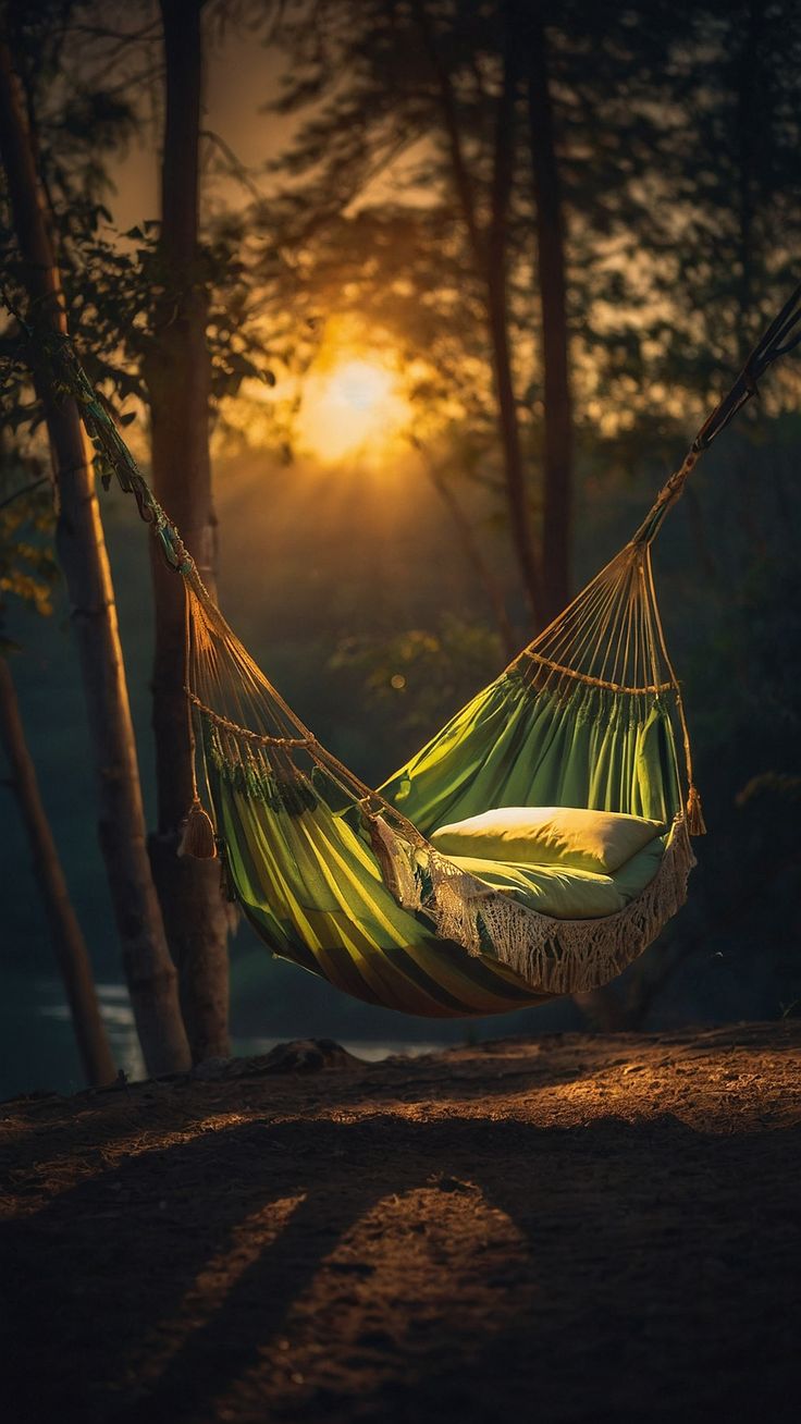 a hammock hanging between two trees with the sun setting in the back ground