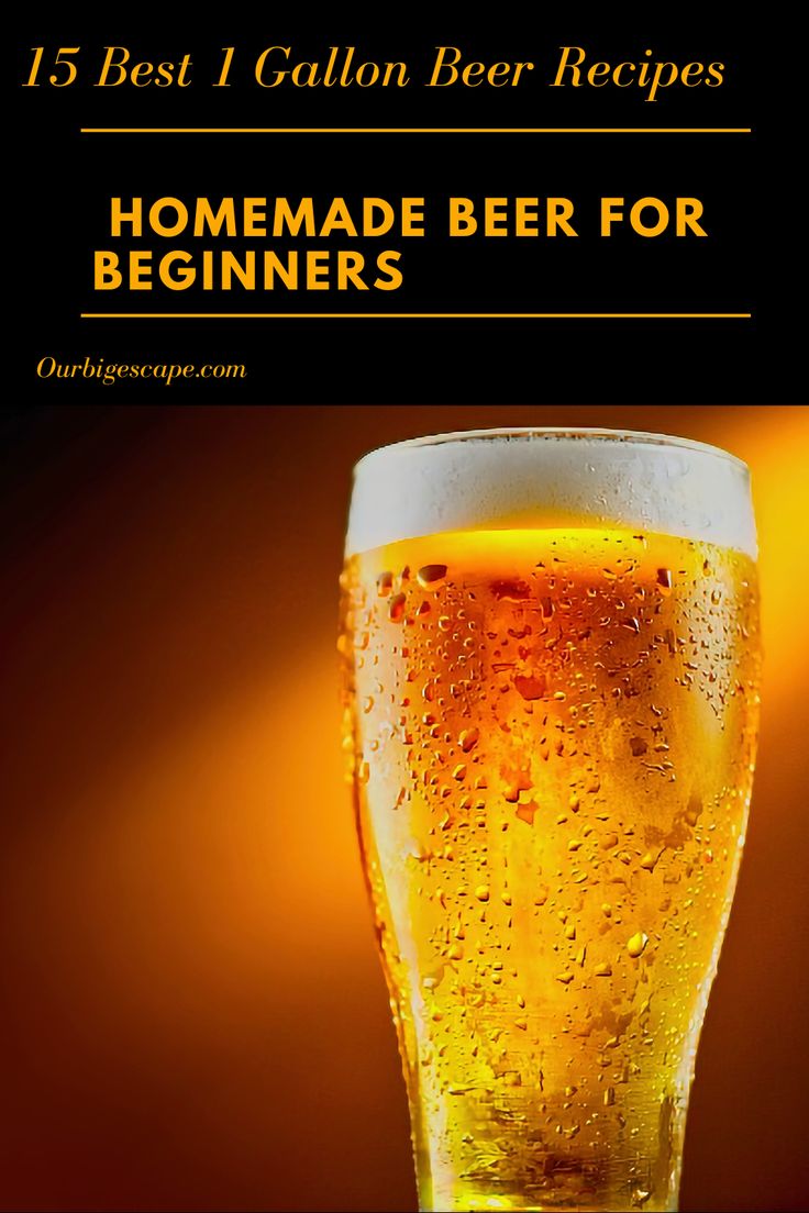 a glass of beer with the words homemade beer for beginners