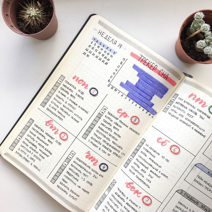 an open planner sitting on top of a table next to two potted cacti