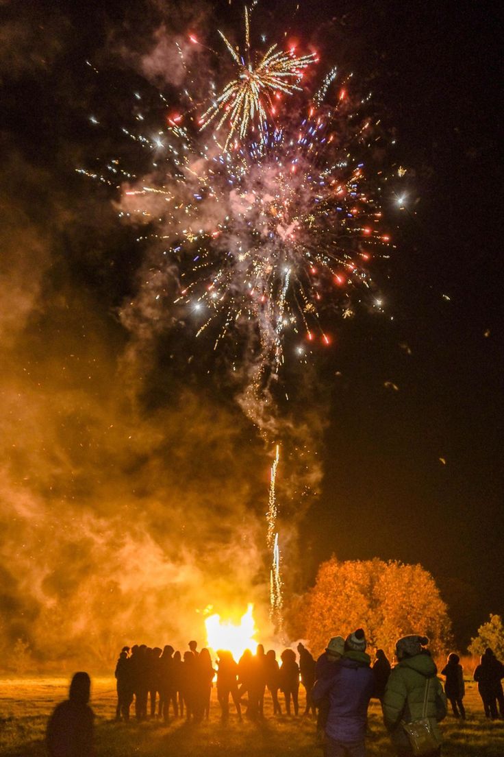 people watching fireworks in the night sky