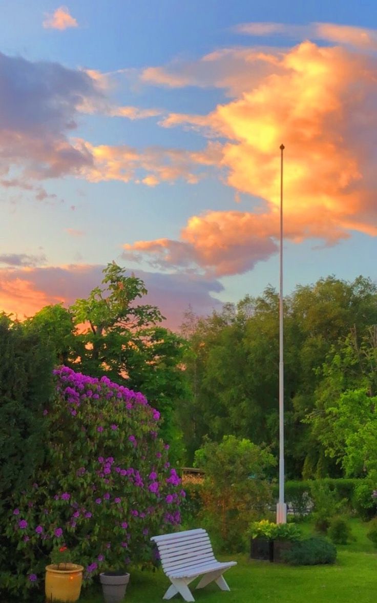 a white bench sitting in the middle of a lush green field under a colorful sky