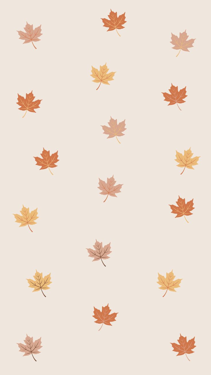 many different colored leaves on a white background