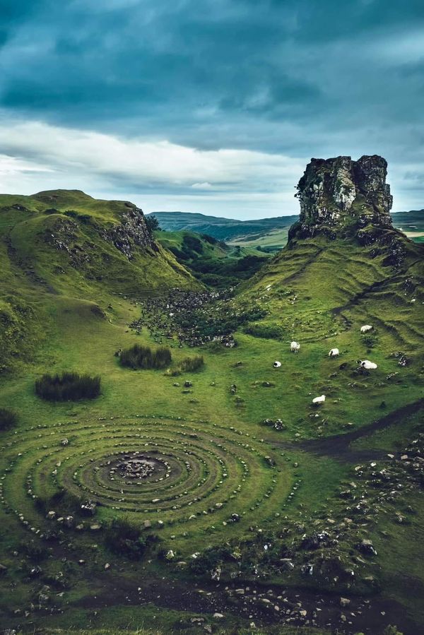 an aerial view of sheep grazing in a green field with a rock outcropping