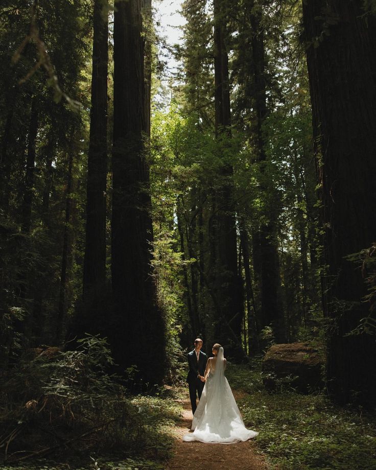 a bride and groom are walking through the woods on their wedding day in vancouver, canada