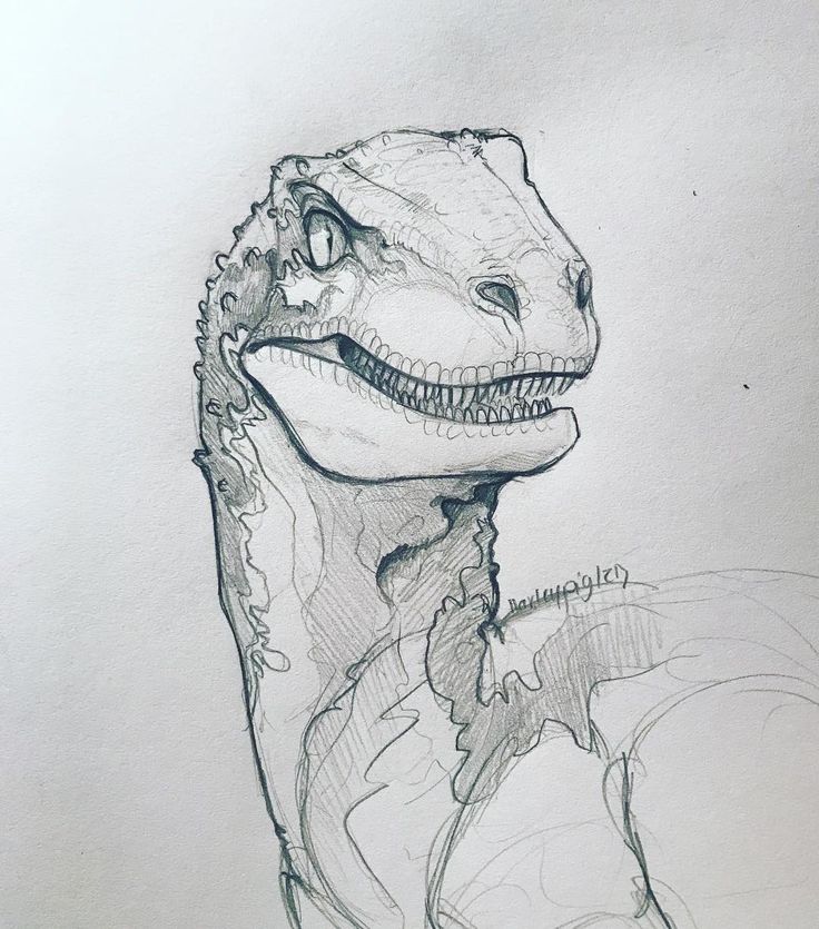 a pencil drawing of a dinosaur with its mouth open