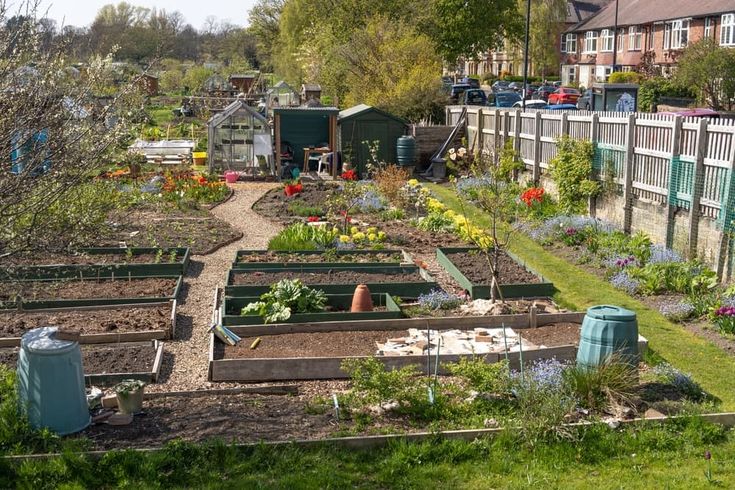 a garden filled with lots of different types of flowers and plants next to a fence