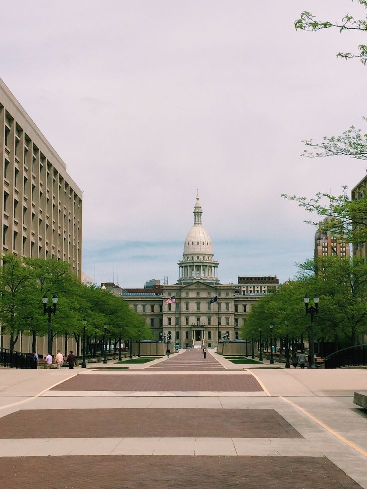 the building is white with a dome on it's top and trees in front