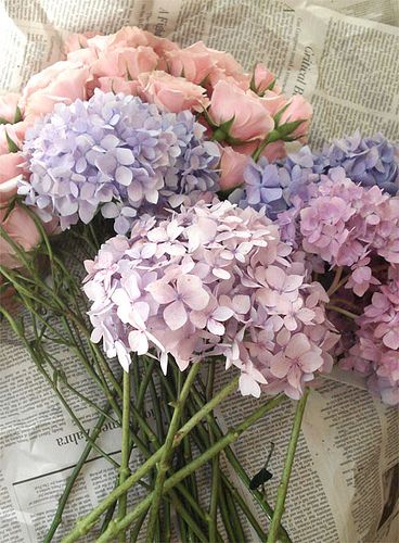 some pink and purple flowers are on top of a newspaper