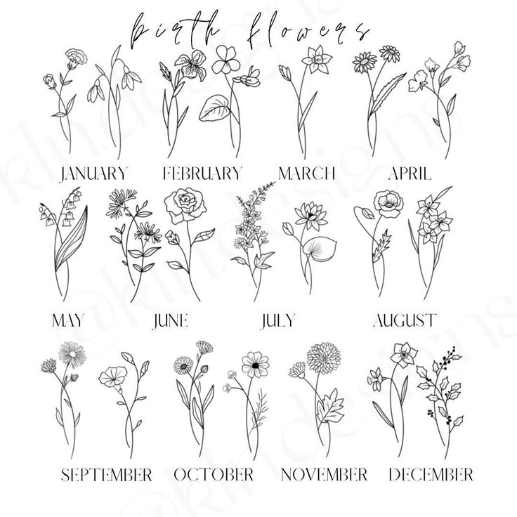 the months and flowers for each month