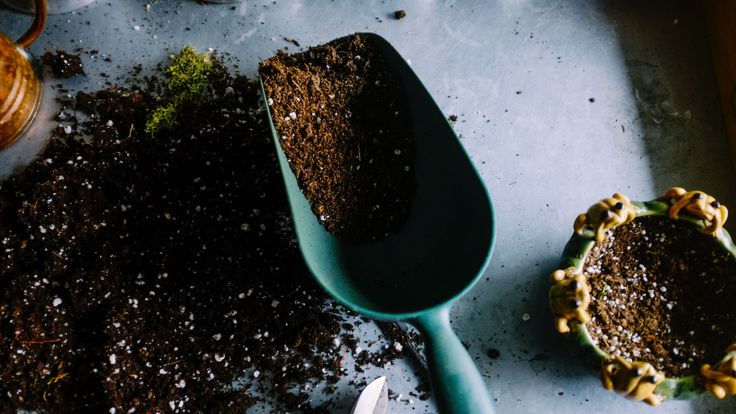 Greeny Gardening