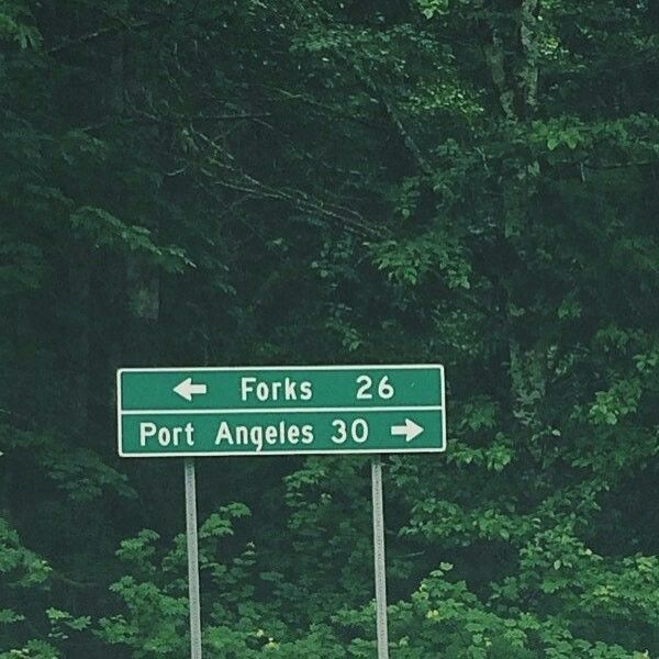 there is a green street sign that says forks 26 and port angeles 30 in front of some trees