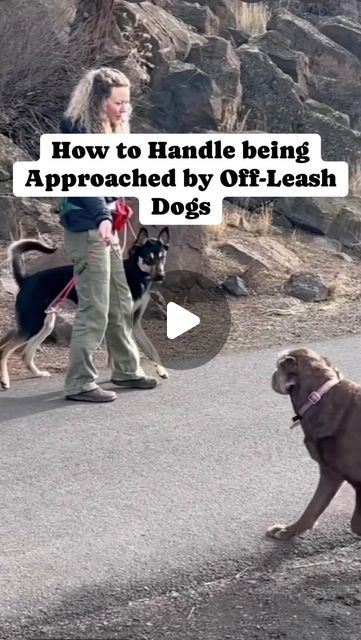 a woman walking two dogs on a leash down a road with the caption how to handle being approached by off leash dogs