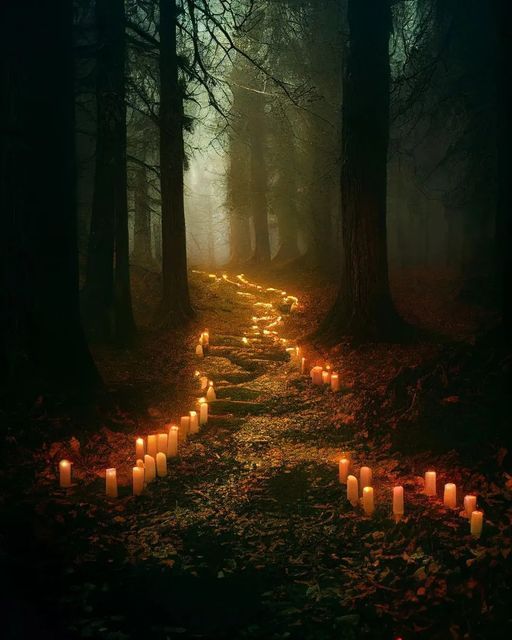 many lit candles in the middle of a path through a forest with trees and leaves