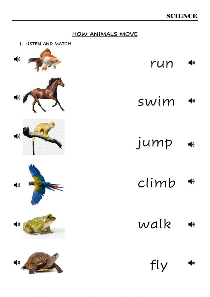 worksheet with pictures of animals and birds to learn how to read the words