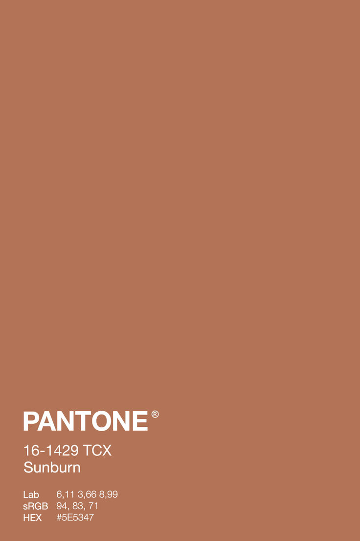 A warm terracotta color swatch labeled Pantone 16-1429 TCX Sunburn, evoking the rich tones of sun-drenched clay and cozy autumn evenings. This color is part of a fall-inspired Natural Habitat Palette, ideal for adding warmth and inviting depth to interior designs or seasonal projects. Eburneon Color, Terracotta Pantone, Autumn Pantone, Relax Pictures, Color Palette Terracotta, Clay Color Palette, Terracotta Palette, Pantone Autumn, Lakeview House