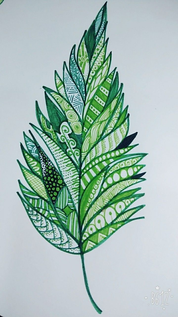 a drawing of a green leaf on a white background