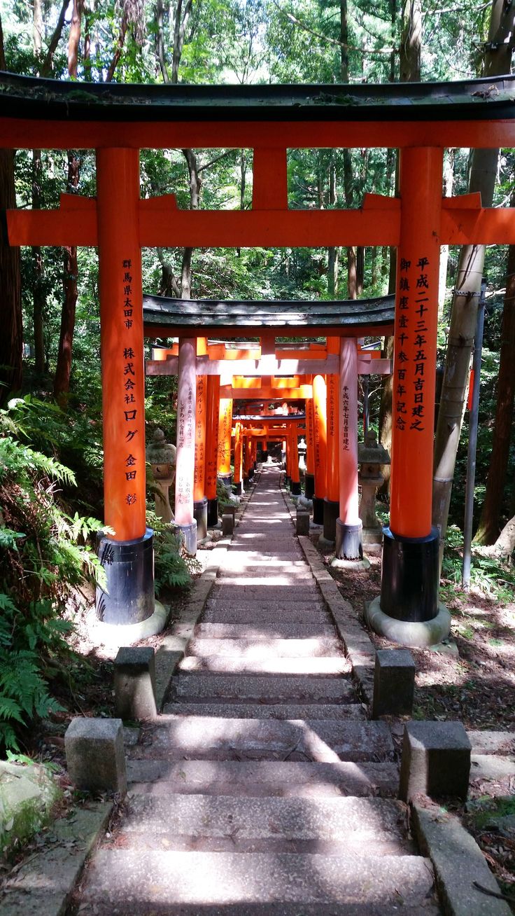 an orange torimi in the middle of a forest