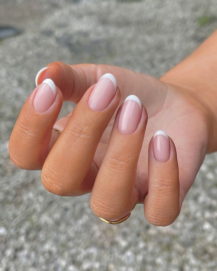 Chels Lou | Milky French 🥛☁️🤍☁️🥛 Base shade - Sheer White French tip - Bright White @glossifyofficial #nails #nailsofinstagram #naildesign… | Instagram Short Nail Shapes, Nail Set Ideas, Best Fall Nail Colors, Autumn Nail, Short Square Nails, Fall Acrylic Nails, Set Ideas, Fall Nail Colors, Neon Nails