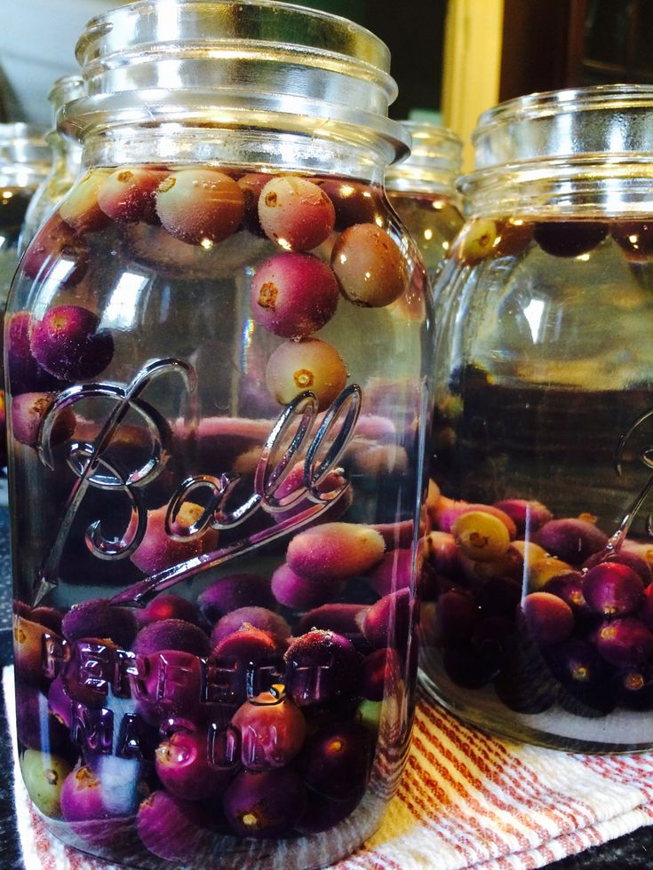 three jars filled with different types of fruit