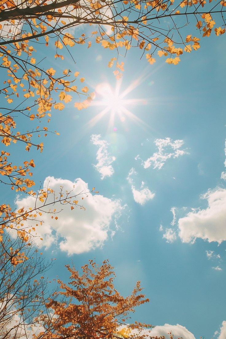 the sun shines brightly through the clouds above some autumn leaves and trees in front of a blue sky