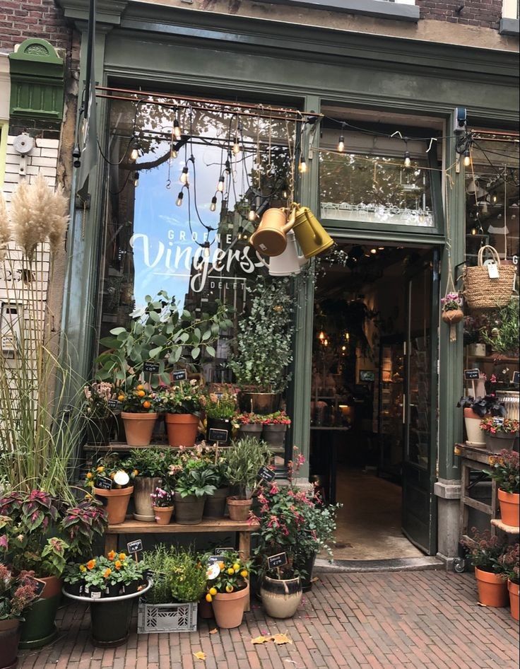 a flower shop with lots of potted plants