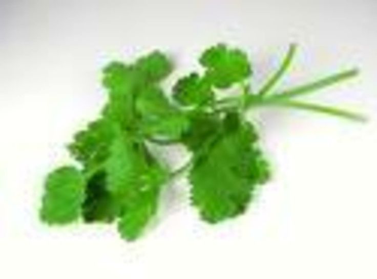 some green leafy plants on a white surface