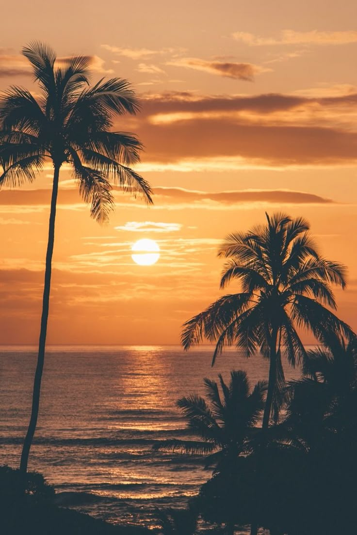 two palm trees are silhouetted against an orange and pink sunset over the ocean in hawaii