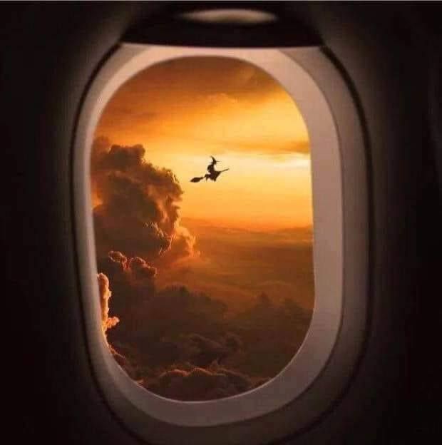 an airplane window with the view of clouds and birds flying in the sky at sunset