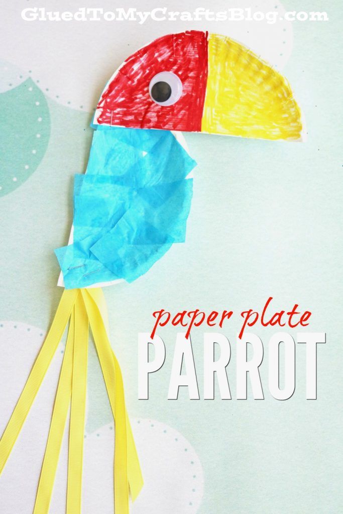 paper plate parrot craft for kids to make