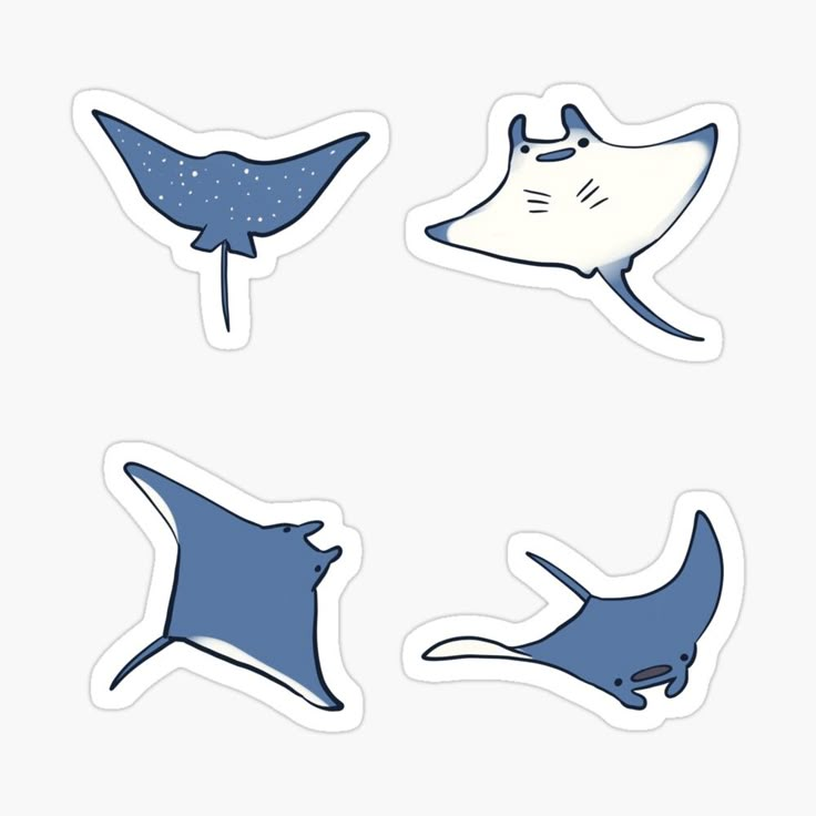 four different types of stingfish stickers on a white background with space in the middle