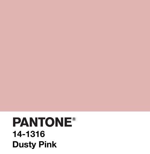 pantone's dusty pink paint is shown in this color swat list for the home depot