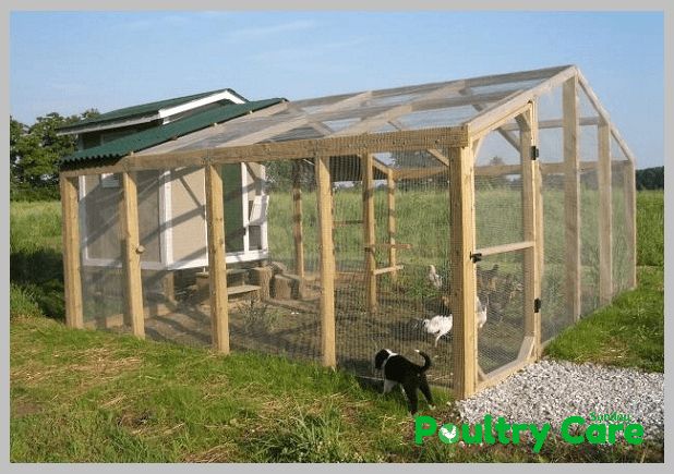 a chicken coop in the middle of a field with two chickens and one dog inside