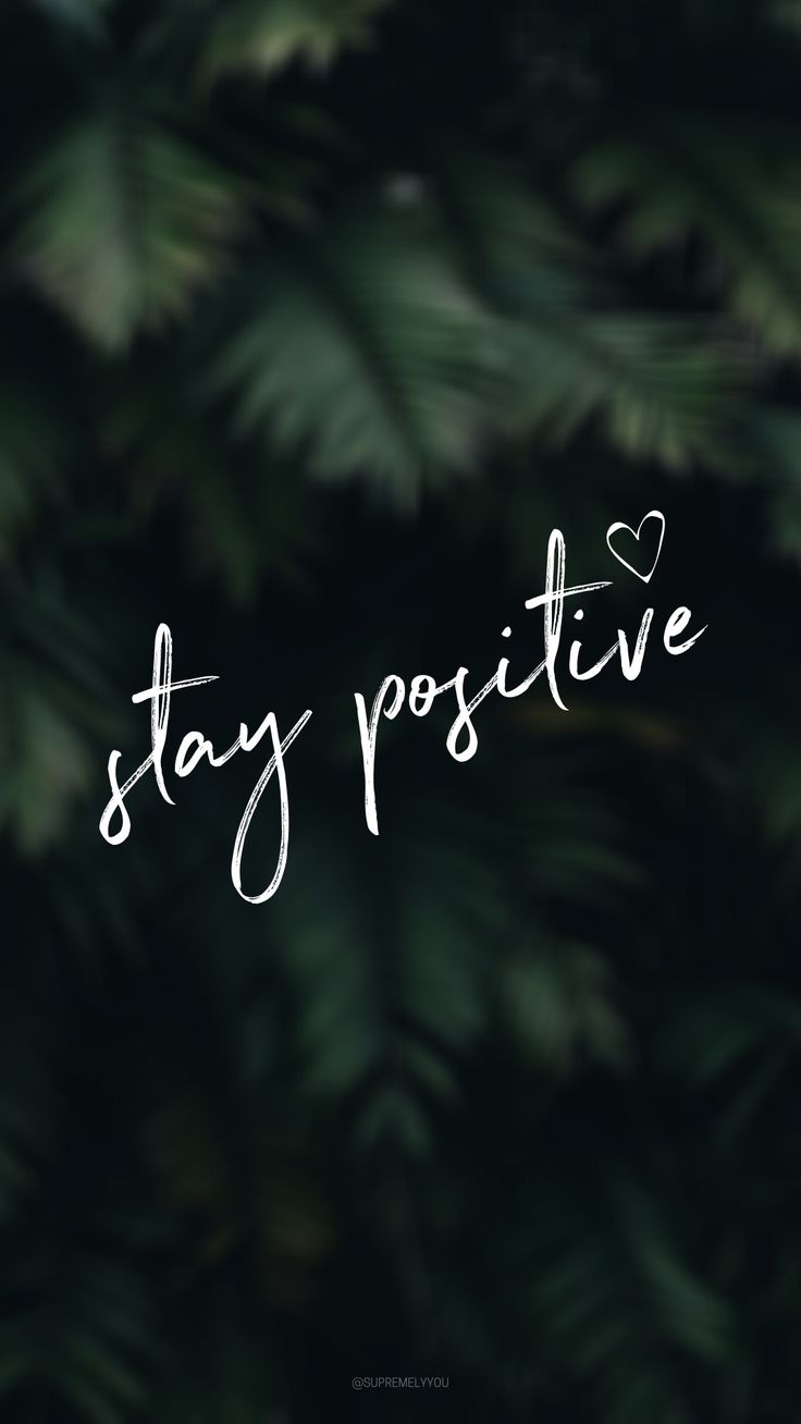 the words stay positive written in white on a black background with pine needles and leaves