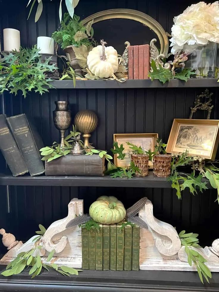 a book shelf filled with books, plants and other items on top of each shelf