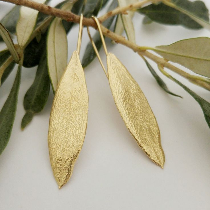 "These earrings will be the perfect gift for Christmas or Hanukkah. Special small earrings to express your love for the people you love Leaf earrings, Gold plated olive leaf earrings, Natural Jewelry, Long Earrings, Dangle Earrings, Gift for her, Leaf jewelry These leaf earrings are an exact replica of an ancient olive tree leaf. made of 18k gold plated from my Natural Collection. A stand alone or paired with a matching necklace, this piece has a special Judaic meaning, the olive being one of th Leaves Jewelry, Delicate Jewellery, Branch Earrings, Real Leaf, Sweet Accessories, Jewelry Nature, Santorini Wedding, Natural Jewelry, Gold Leaf Earrings