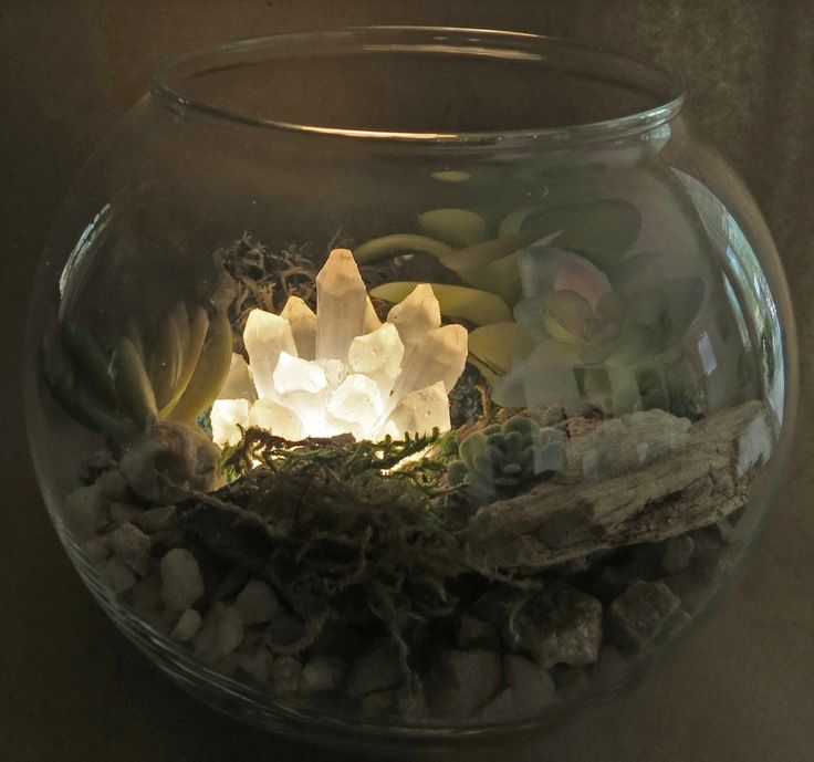 a glass bowl filled with rocks and plants in it's center, surrounded by other items