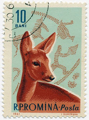 a postage stamp with an image of a deer on it's front and side