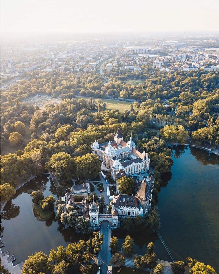 an aerial view of a castle surrounded by trees