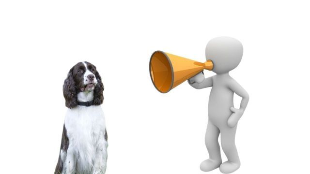 a dog is looking at a man with a bullhorn in front of him on a white background