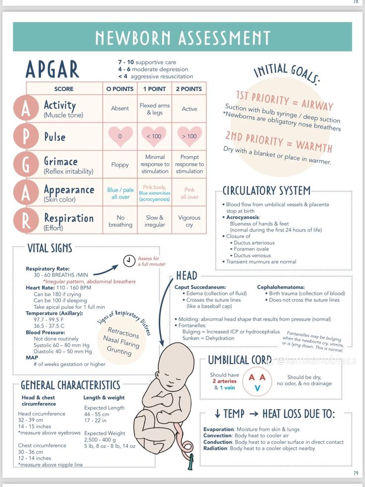 an info sheet with the words and symbols for newborns to use in their child's development