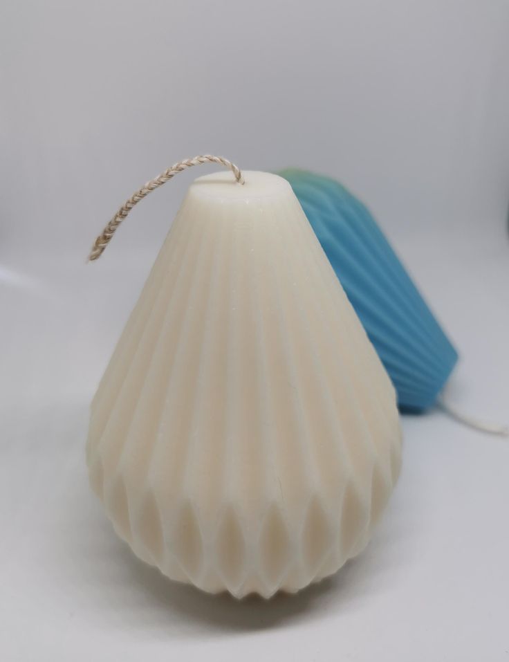 two blue and white seashells on a white surface with a string in the middle