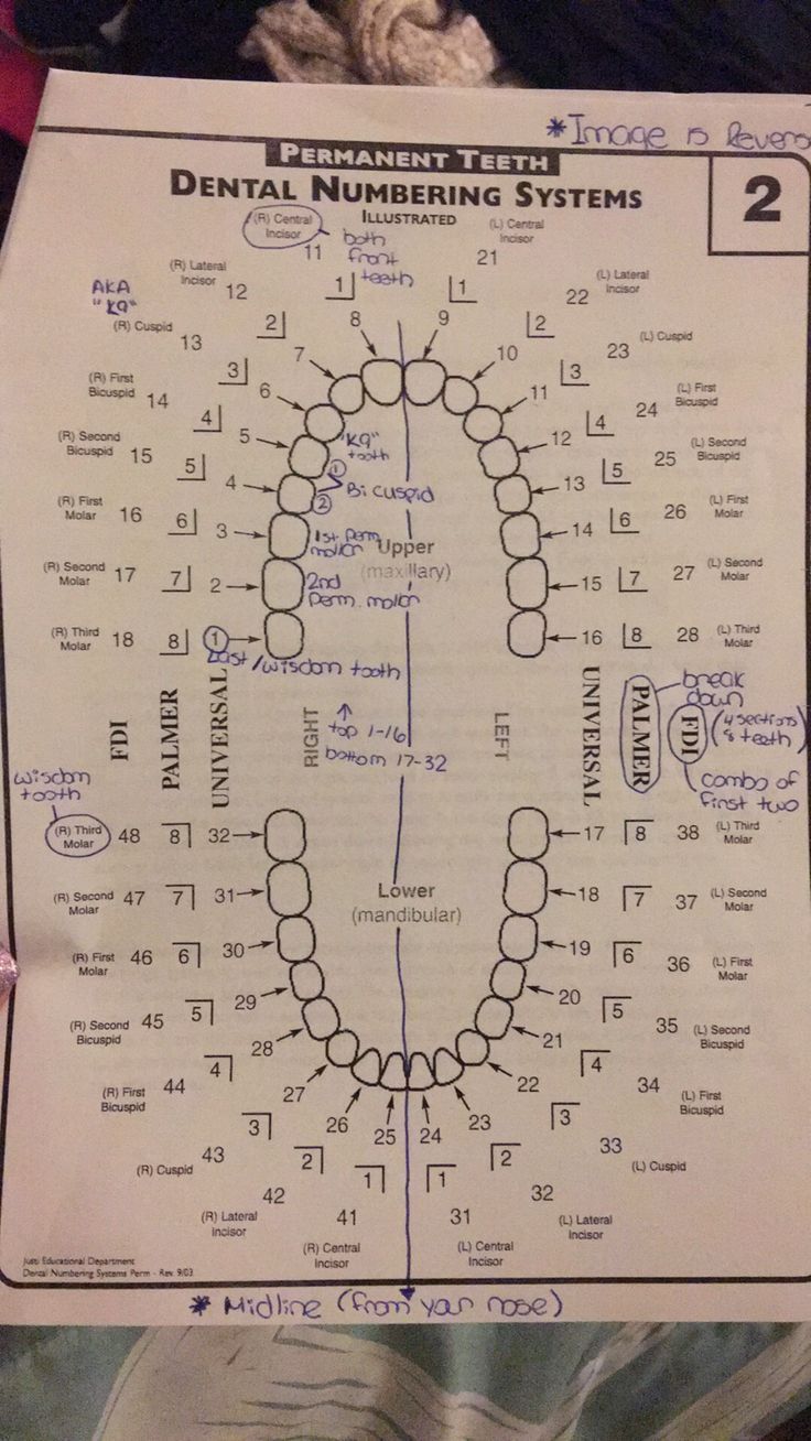 Dental Assistant Study Guide, Dentist Career, Dental Assistant School, Dental Hygienist School, Dental Assistant Study, Dentist Assistant, Dental Hygiene Student, Dental Aesthetics, Kedokteran Gigi