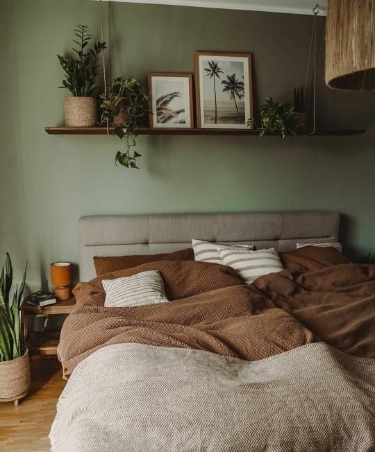 an unmade bed in a bedroom with plants on the wall and pictures above it