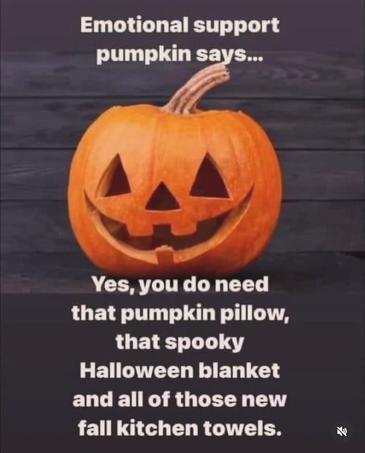 an image of a pumpkin with the caption that says, you don't have to