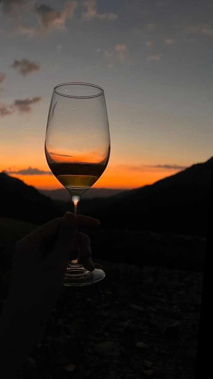 a person holding up a wine glass at sunset