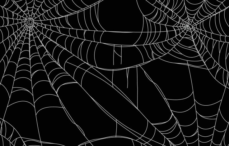 an abstract black and white spider web pattern